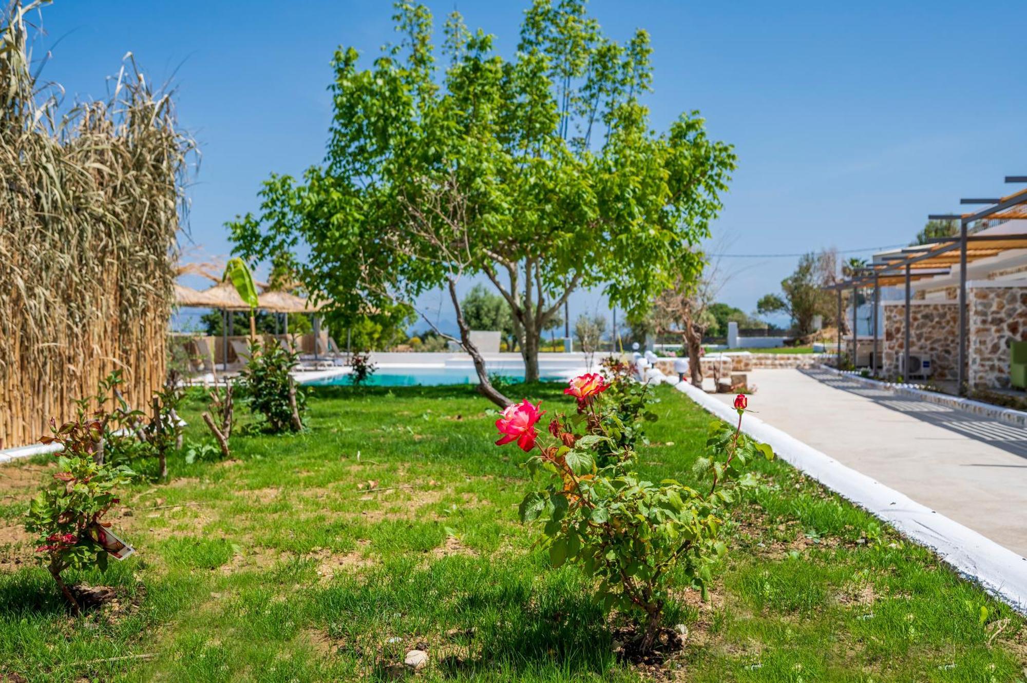 Homes Eva'S Garden, Poolside Cozy Havens In Kos Agios Dimitrios  Екстериор снимка
